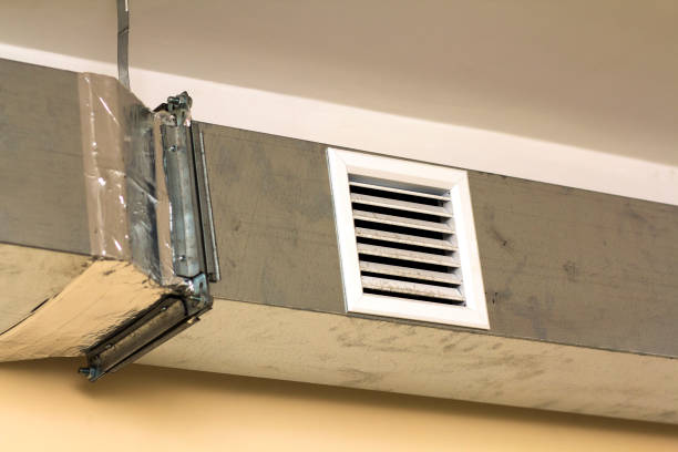 Air Duct Mold Removal in OH